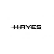 Hayes 2023