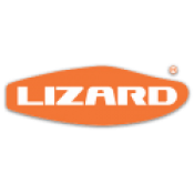 Lizard 2023