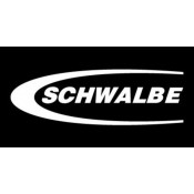 Schwalbe 2023
