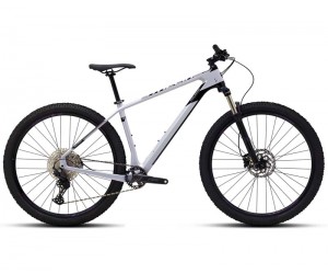 Велосипед POLYGON SYNCLINE C2 GRY (2022)