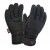 Перчатки водонепроницаемые Dexshell Arendal Biking Gloves, p-p L, зимние, черные