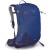 Рюкзак Osprey Sirrus 24 blueberry (фиолетовый)