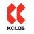 Носки Kalas Race Extra High 01 (Climawell) р.37-39