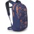 Рюкзак Osprey Daylite wild blossom print/alkaline - O/S - синий