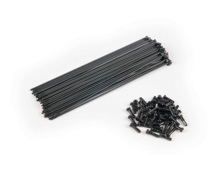 Спицы Eclat STAINLESS нержавейка PG с черными ниппелями, черные