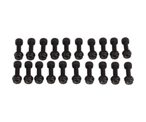 Піни для педалі RaceFace PEDAL PIN KIT.CHESTER.PIN&NUT.20 SETS