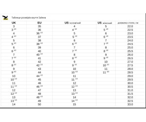 Черевики Salewa ALP MATE WINTER MID WP M сірий
