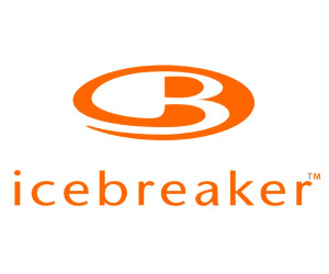 Носки ICEBREAKER Skier Mid WMN blizzard/turf/gulf L
