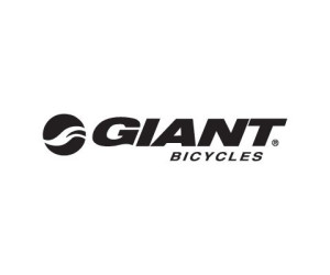Жилет Giant Gravelcrusher фіол/син