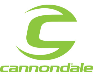 Кольцо стопорное для адаптера картриджа Cannondale Lefty 2.0