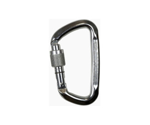 Карабин Climbing Technology D-Shape SG (silver) 