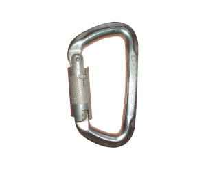 Карабин Climbing Technology D-Shape WG silver