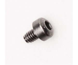 BUCKLE SCREWS [SILVER], No Size