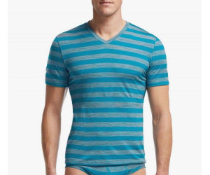 Футболка Icebreaker BF 150 Anatomica SS V MEN stripe alpine/metro 