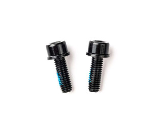 Болты крепления калипера TRP Flat Mount Mounting bolt 