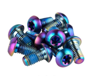 Болты ротора SRAM - Titanium T25. Rainbow Bolts (12шт)