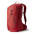 Рюкзак Gregory BIOSYNC-MIKO 25 SUMAC RED 