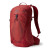 Рюкзак Gregory BIOSYNC-MIKO 20 SUMAC RED 