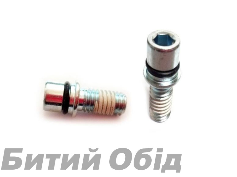 Болти REB SHAFT BOLT/O-RING THREAD PATCH QTY20 (11.4015.303.000)