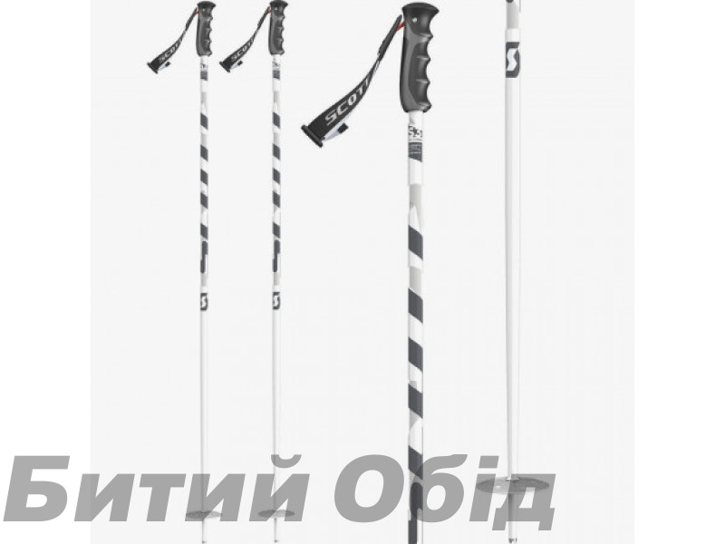 Палки горнолыжные SCOTT PUNISHER white
