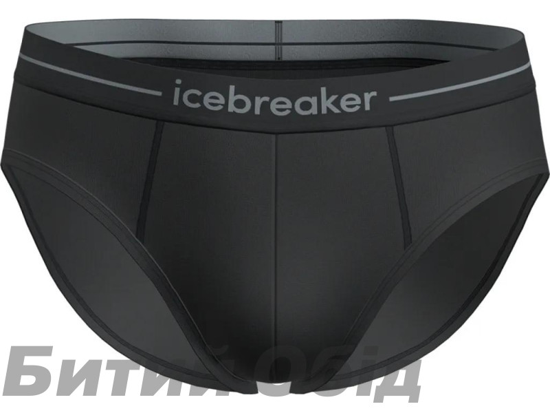 Трусы ICEBREAKER Anatomica Briefs MEN BLACK