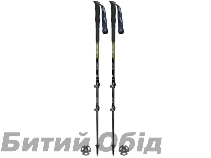 Палиці трекінгові Masters EIGER
