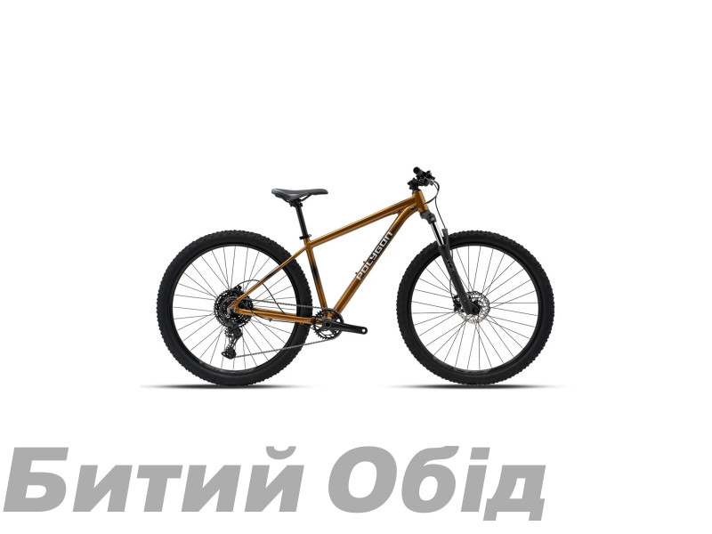 Велосипед POLYGON CASCADE 5 29X490 BWN FA