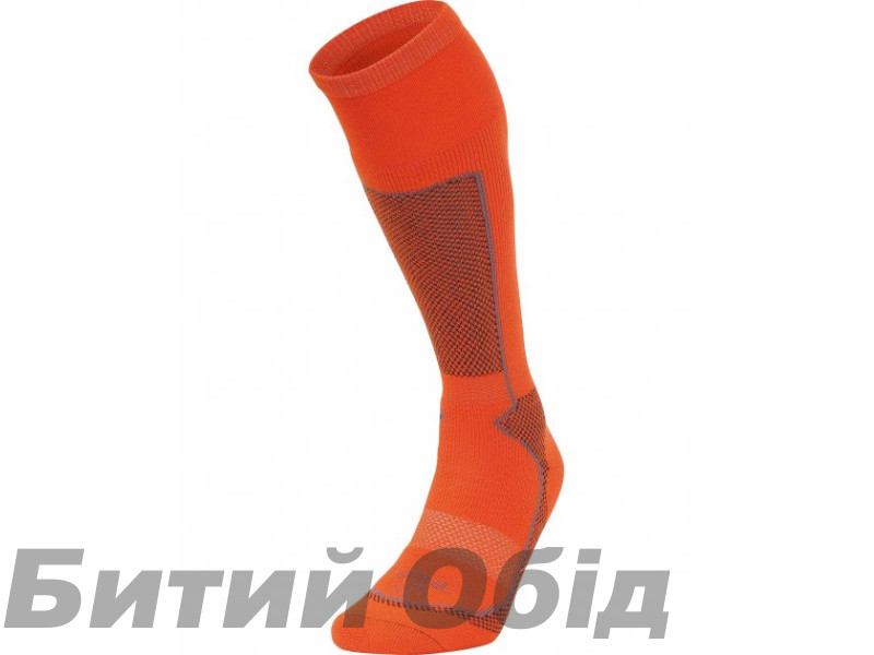 Носки Lorpen T2 Ski Merino Blend SANL (6310168)
