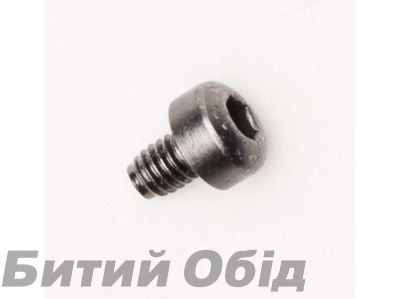 BUCKLE SCREWS [SILVER], No Size
