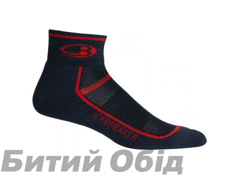 Носки Icebreaker Multisport Light Mini MEN Oil M Носки Icebreaker Multisport Light Mini MEN Oil M